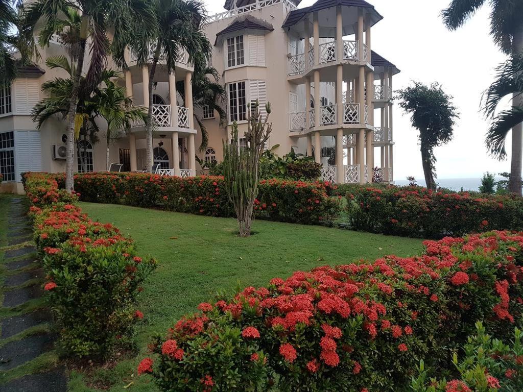 Chill On The Hill Apartment Ocho Rios Bagian luar foto